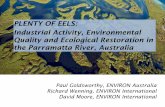 PLENTY OF EELS: Industrial Activity, Environmental Quality ... · Case Study 1: Homebush Bay • Site of the 2000 Sydney Olympic Games • Homebush Bay area was used for a range of