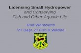 Welcome to DEC | Department of Environmental Conservation - and Conserving Fish … · 2016. 1. 11. · Bypass Flows at Run-of-River Hydropower Projects “No Water…..No Fish”