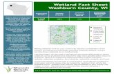 Wisconsin Wetlands Association | Helping people care for ...€¦ · Author: Administrator Created Date: 10/3/2016 1:53:38 PM
