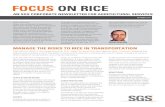 FOCUS ON RICE - SGS · 2017. 2. 1. · FOCUS ON RICE OCTOBER 2013 P. 1 THAILAND SGS Thailand’s agricultural services are internationally recognised for their high level of expertise