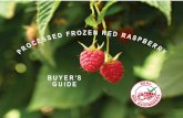 BUYER’S GUIDE · IN FOODSERVICE, Reviewing consumer packaged goods between. 2009 – 2014. Mintel Global New Products Database (GNPD) shows that. raspberry product launches in the