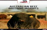 AUSTRALIAN BEEF BREEDING INSIGHTS...Australia and the wider Australian beef cattle industry over the next decade. 4. Reporting requirements A final report for the first survey must