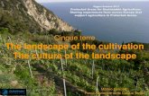 Cinque terre The landscape of the cultivation The culture of the … · 2017. 4. 5. · Cinque Terre National Park - 1985 Cinque Terre were included in a regional natural park -From