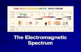 The Electromagnetic Spectrummcdowellsoundlightwaves.weebly.com/uploads/2/1/2/4/... · The Electromagnetic Spectrum The EM spectrum is the ENTIRE range of EM waves in order of increasing