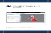 IMAGE STUDIO 1.4€¦ · Spatial interaction modelling ... The IMAGE Studio has been designed to help address both these aims. Comparing internal migration ... (SIM) and thereby computing