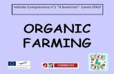 ORGANIC FARMING - sf723f5d28044265b.jimcontent.com · •conventionally grown food are bigger and more beautiful but are not nutritious, tasty and healthy – ... (GMO) is an organism