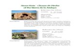 Stone Huts - Chozas de Piedra of the Sierra de la Atalaya · 2014. 2. 12. · Stone Huts (Chozas de Piedra) of the Sierra de la Atalaya 2 Reference No. CP003 Location N 37º 10.057’