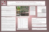Distribution and genetic analysis of Xylella fastidiosa strains … · 2012. 6. 26. · Abstract Chitalpa is a common landscape plant used in the desert southwest United States. In