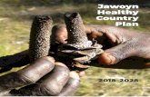 Jawoyn Healthy Country Plan 2018–2028 · include: managing country effectively, building employment and education opportunities, and protecting cultural sites of significance. Operating