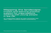 Impact and learning practice support for organisations ... · Map of provision of impact and learning practice support for organisations working with young people 1.1 Mapping methodology