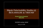 Dipole Polarizability Studies @ REX-ISOLDE & TRIUMF€¦ · Suppression of typical rainbow in elastic cross sections. Are these features characteristic of halo nuclei? Long range