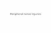 Peripheral)nerve)Injuries) · Nerve)Injury)Response) • DISTALLY) – Wallerian)degeneraon) – Myelin)sheath)breakdown) – End/targetorgan)eﬀects) • PROXIMAL)
