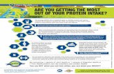 ARE YOU GETTING THE MOST OUT OF YOUR PROTEIN INTAKE? · By increasing the utilization and potential of the protein you’re consuming, you can achieve increased muscle mass, increased