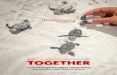 TOGETHER - Imagine bee-eaters, cave salamanders, geckos, macaques, dragonflies, pelicans for a flavour