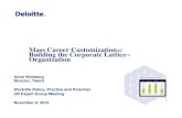 Mass Career Customization Building the Corporate Lattice … · 2010. 12. 1. · Mass Career Customization ® : Building the Corporate Lattice ™ Organization Anne Weisberg Director,