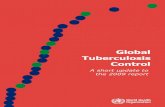 Global Tuberculosis Control - Oswaldo Cruz Foundationbvssp.icict.fiocruz.br/pdf/26012_global_tuberculosis.pdf · GLOBAL TUBERCULOSIS CONTROL A SHORT UPDATE TO THE 2009 REPORT iii