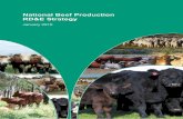 National Beef Production RD&E Strategy · The National Beef Production Research, Development and Extension Strategy was developed under the auspices of the Primary Industries Standing