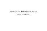 ADRENAL HYPERPLASIA, CONGENITAL, · disorder. congenital Adrenal Hyperplasia (CAH) is a family of inherited disorders affecting the adrenal glands. CAH is an autosomal recessive genetic
