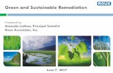 CLICK TO EDIT MASTER TITLE STYLE Green and Sustainable … CCLR... · 2019. 12. 21. · Brief History 2006 –Sustainable Remediation Forum (SURF) formed; SURF formally integrates