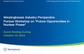 Westinghouse Industry Perspective - Purdue University · Nuclear Power Plants Specializing in the development and delivery of new nuclear power plant projects Automation and Field