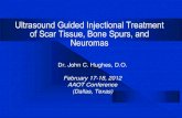 Ultrasound Guided Injectional Treatment of Scar Tissue ...aspenintegrativemedicine.com/wp-content/uploads/USguidedMSKinjecti… · AAOT Conference (Dallas, Texas) Ultrasound Guided