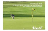 Potential for VelVet Bentgrass - Startsida | STERF...couple of Danish courses have seeded velvet bentgrass in mixture with red fescue. This might be an alterna-tive to the traditional