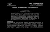 Tannase Production By Aspergillus nigerdownloads.hindawi.com/journals/jchem/2007/243689.pdf · 2019. 8. 1. · Tannase Production By Aspergillus niger 194 was sterilized and inoculated