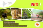 Corbett National Park Corbett Tiger Reserve · To increase the chance of sighting and also see different terrains or zones of Corbett, one will be visiting 3 main zones of Corbett