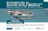 5 Ecologically or Biologically Significant Marine Areas (EBSAs)marine areas”, or EBSAs, they are defined by a set of seven criteria that were adopted at the ninth meeting of the