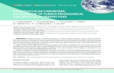 HEPATOCELLULAR CARCINOMA: AN OVERVIEW OF CLINICO ... · Hepatocellular carcinoma (HCC) has an in - creasing incidence worldwide, and it is the lead - ... contrary, if lesions reveal
