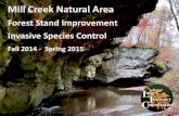Mill Creek Natural Area - longforestry.com€¦ · Mill Creek Natural Area Forest Stand Improvement Invasive Species Control Fall 2014 - Spring 2015. Mill Creek History Mill Creek