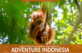 Experience Wildlife, Hiking and Culture in Borneo, Java and Bali … · 2019. 11. 10. · From Borneo in Java At the appropriate time, we sail back to the boat harbor then drive to