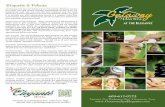 081717 Get Away Day Spa Brochure RVSD...Using natural organic products specifically selected for a man's skin and individual needs, with non-perfumed, non-greasy, natural products.