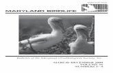 Bulletin of the Maryland Ornithological Society, Inc.1-4)2000_0.pdf · Lydia Schindler Carroll: *Amy Hoffman Roxanne Yeager Patuxent: *Tom Loomis Chandler Robbins Cecil: *Leslie Fisher