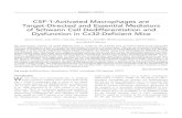 CSF‐1‐Activated Macrophages are Target‐Directed and ...download.xuebalib.com/xuebalib.com.18594.pdf · ANIMALS. Cx32wt, Cx32het, and Cx32def mice (Nelles et al., 1996) as well