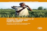 FACING THE CHALLENGES OF CLIMATE CHANGE AND FOOD … · FaCIng tHE CHallEngES oF ClImatE CHangE anD FooD SECUrIty OccasiOnal papers On innOVaTiOn in FaMily FarMing ExECUtIvE SUmmary