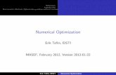 Numerical Optimization - EISTIet.perso.eisti.fr/pdfs/optim-num2012-02-22.pdf · Examples of Optimization Problems in Finance Optimal portfolios Model Calibration Variance reduction