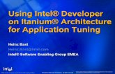Using Intel¢® Developer on Itanium¢® Architecture for ... parallel/parallelrechner/altix... ¢â‚¬â€œ Look