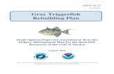 Gray Triggerfish Rebuilding Plan · August 2016 This is a publication of the Gulf of Mexico Fishery Management Council Pursuant to National Oceanic and Atmospheric Administration