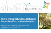 How to finance Nature-Based Solutions? · 2020. 7. 20. · Newcastle’s new business model for park maintanance Developing new business models for parks under austerity (90% budget