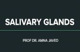 SALIVARY GLANDS - glands.pdfآ  Salivary glands Mohammad Akheel Salivary glands -1 Parotid: 4-6"' week