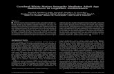 Cerebral White Matter Integrity Mediates Adult Age ...€¦ · Paul, Clark, & Gordon, 2007; Schulte, Sullivan, Muller-Oehring, Adalsteinsson, & Pfefferbaum, 2005; Madden et al., 2004)