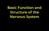 Basic Function and Structure of the Nervous System...Smarter UK N0022597 N0022610 your nervous system is divided into the central nervous system (CNS) and the peripheral nervous system