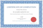 Juanjo Sola AlonsoCERTIFICATE OF COMPLETION has successfully completed the course
