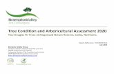 Tree Condition and Arboricultural Assessment 2020 · Brampton Valley Arboricultural Consultancy 2020 3 | P a g e 1.0 Introduction 1.1 Purpose of this Document: This report was commissioned