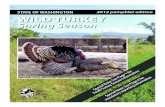 STATE OF WASHINGTON WILD TURKEY Spring SeasonYouth Turkey Season A youth spring turkey season for hunters under 16 years of age will be held on April 7-8, 2012: The youth season is