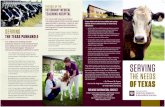 THE ROLE OF THE VETERINARY MEDICAL TEACHING …vetmed.tamu.edu/wp-content/uploads/2019/02/ServingTheNeedsOfTexas.pdfTeaching Hospital (VMTH) provides student opportunities in education,