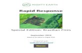 Rapid Response - Mighty Earth · Rapid Response Soy & Cattle – Based on fire alerts August 2019 3 1. Fazenda Lagoa do Triunfo IV (São Félix do Xingu, Pará) – Amazon Fazenda