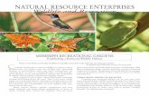 NATURAL RESOURCE ENTERPRISES Wildlife and Recreationextension.msstate.edu/sites/default/files/publications/publications/p2402_0.pdfFOOD– You can provide food in two ways. 1. Artificial