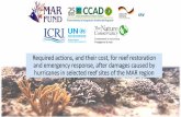 Required actions, and their cost, for reef restoration and ... · cozumel minimum intermediate optimum 20% coral cover intervention (20 %) intervention (40 %) interventnion (60 %)